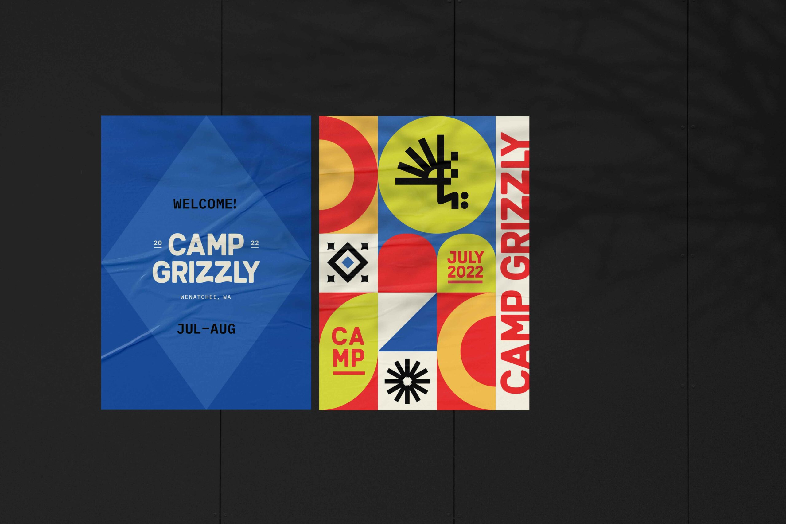Project Camp Grizzly Poster Image